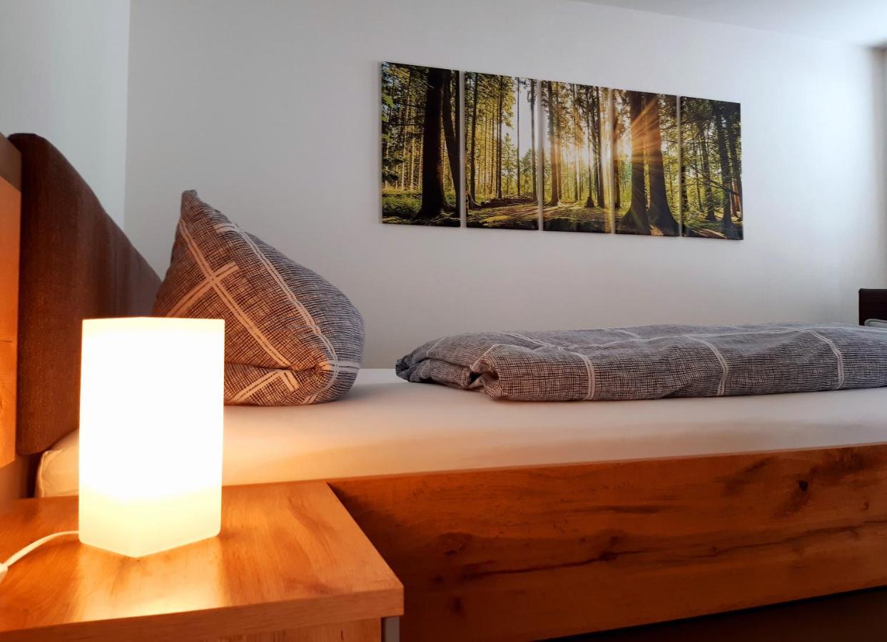 Stadtoase Geraeumige Gaestewohnungen Mit Balkon, Komfort, Modernitaet Und Ruhe, Fuer Monteure Geeignet, Free Wifi フランケンベルク エクステリア 写真